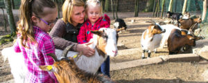 Kindergeburtstag Wildpark Saarbrücken